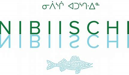 Corporation Nibiischii